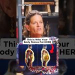 The True Cause of Belly Fat: Surprising Insights Revealed