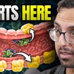 The Inflammation Doctor: How One Organ Regulates 83% of Metabolism