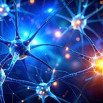 Breakthrough Alzheimer’s Drug Reveals Unexpected Issues