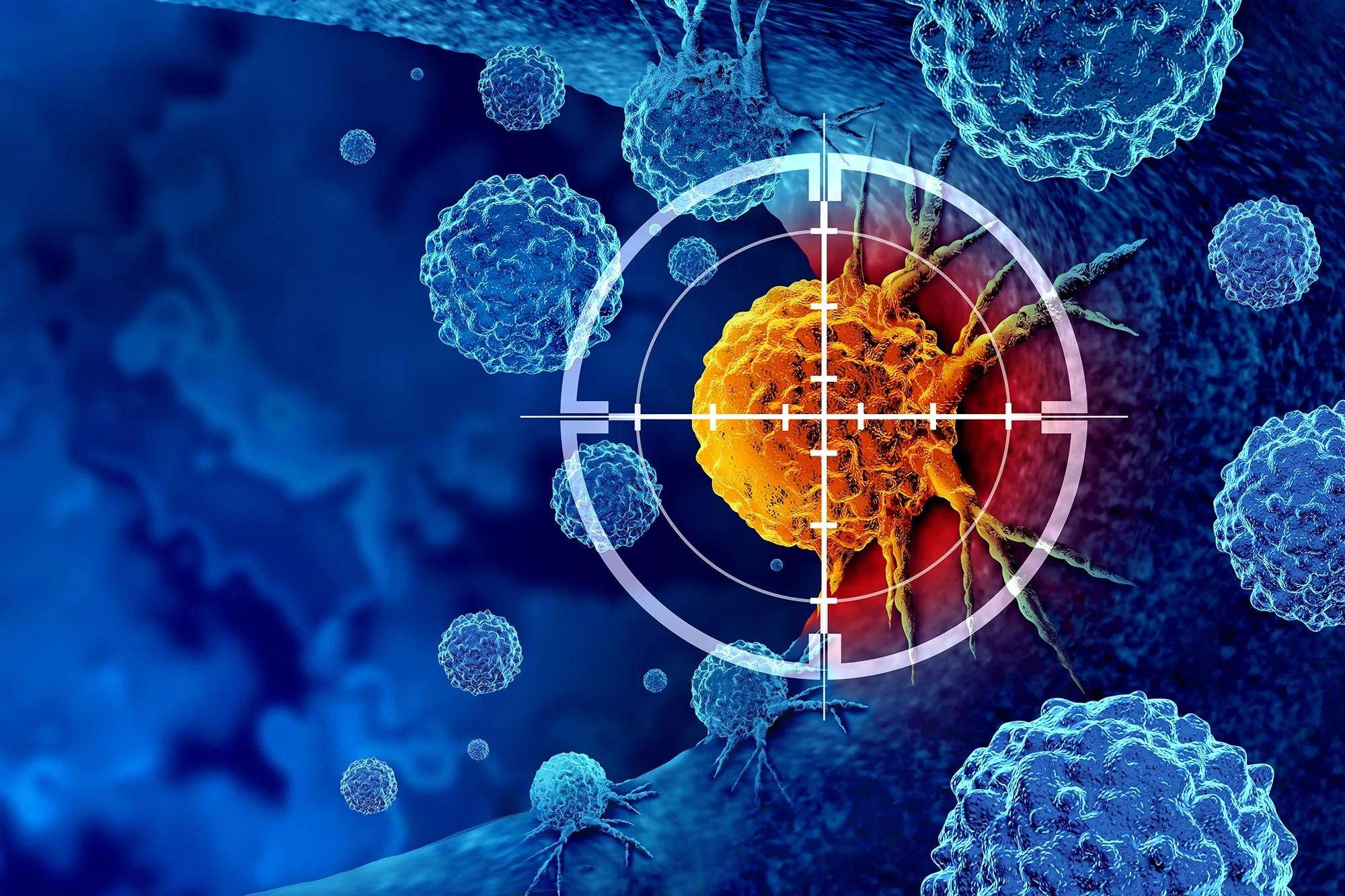 Reviving Exhausted T Cells Enhances Cancer Tumor Elimination