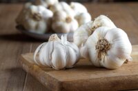 Garlic Mouthwash Proves Effective as Popular Antiseptics
