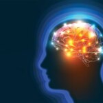 Tiny Camel and Llama Proteins Hold Promise for Brain Disorders