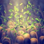 Scientists Uncover Ways to Transform Gut Microbiome for Longevity