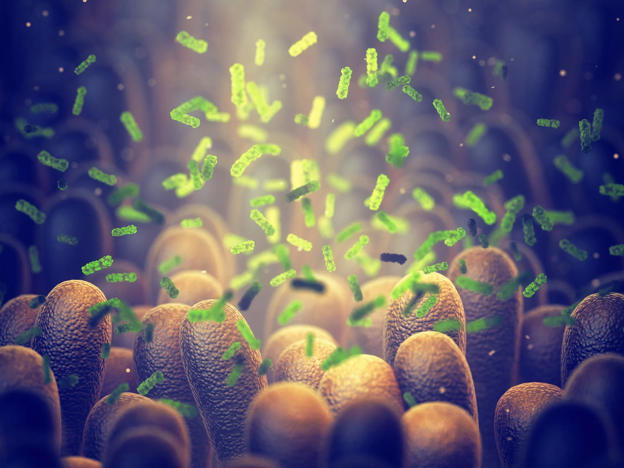Scientists Uncover Ways to Transform Gut Microbiome for Longevity