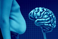 The Hidden Belly Fat That Silently Affects Brain Health
