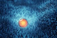 Ancient Chinese Herbal Remedy May Boost Fertility, Study Finds