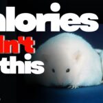 Understanding Fat Gain: The Role of Insulin Explained