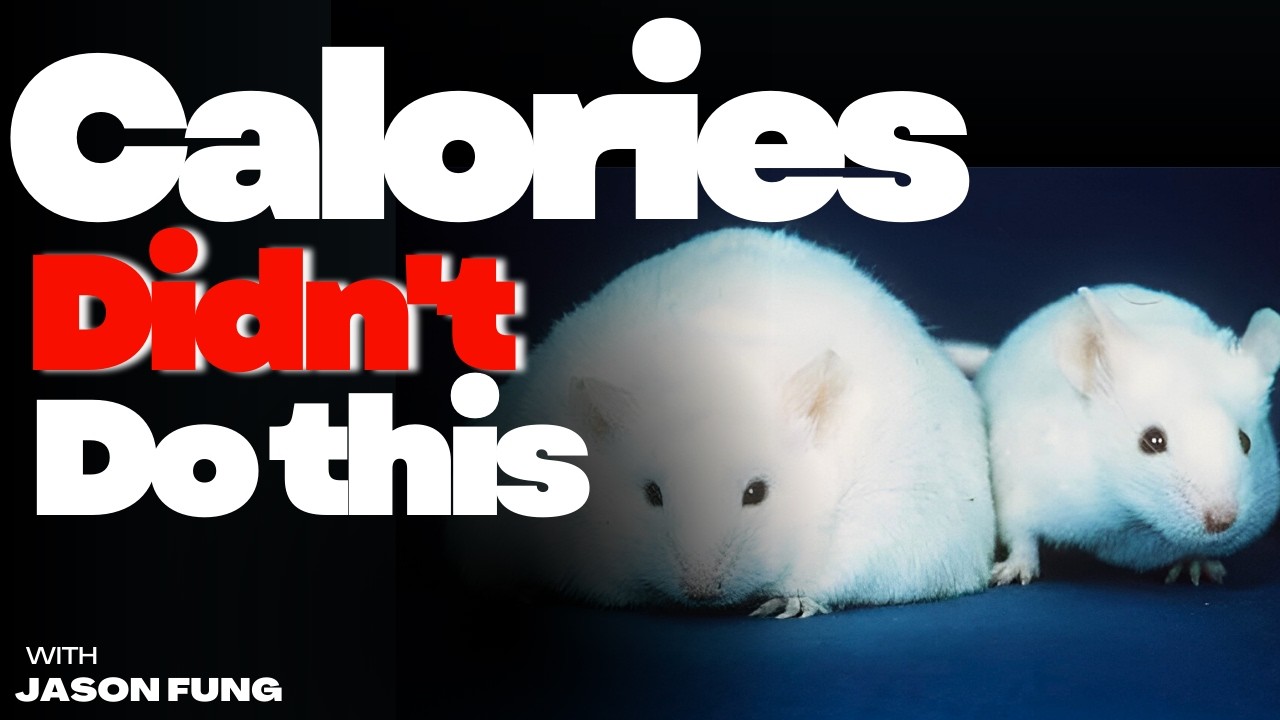 Understanding Fat Gain: The Role of Insulin Explained