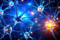 A Tiny Enzyme Defect May Illuminate Dementia’s Origins