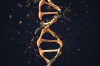 Experimental Treatment Uncovers Dormant DNA Repair Pathway