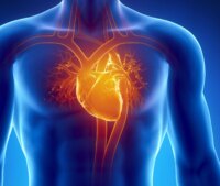 11-Year Study Links Plant Compounds to Improved Heart Health