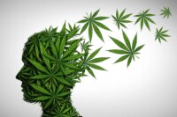 Cannabis Pain Relief: Important Considerations to Know