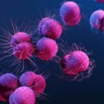 A Simple Pill May Replace Injections for Gonorrhea Treatment