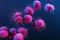 A Simple Pill May Replace Injections for Gonorrhea Treatment