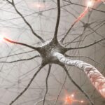 Scientists Uncover How Damaged Neurons Can Overcome Degeneration