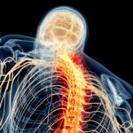 New Brain Cell Function May Revolutionize Spinal Cord Injury Care