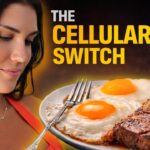 Why Your Cells Stopped Responding to Insulin and Solutions