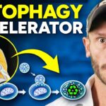 Quickly Boost Autophagy While Fasting in Just Minutes