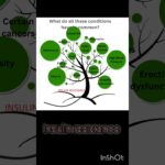 Insulin Resistance: The Root of Modern Diseases Explained