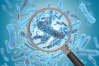 Researchers Discover Potential Breakthrough in Sepsis Treatment