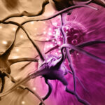 Researchers Uncover Brain Cancer’s Secret Helpers and Their Shutdown