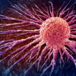 Toxin Halts Colon Cancer Growth Without Damaging Healthy Tissue