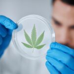 Early Cannabis Use Tied to Depression, Anxiety, and Injuries