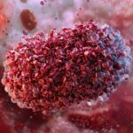 Scientists Find Unseen Bat Virus Infecting Humans in South Asia
