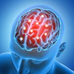 Scientists Discover Aging Brains Transform Vital Amino Acid Toxic