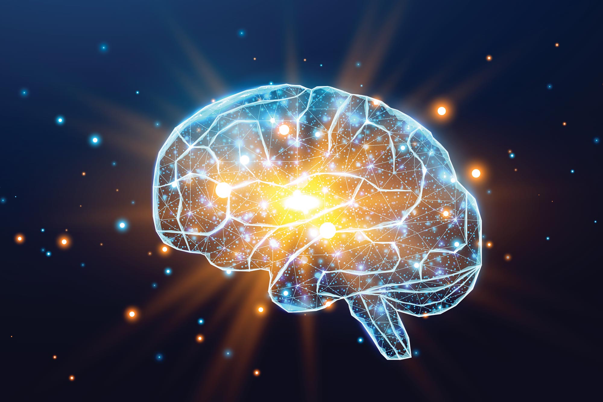 Your Brain Development: What Really Happens After 25