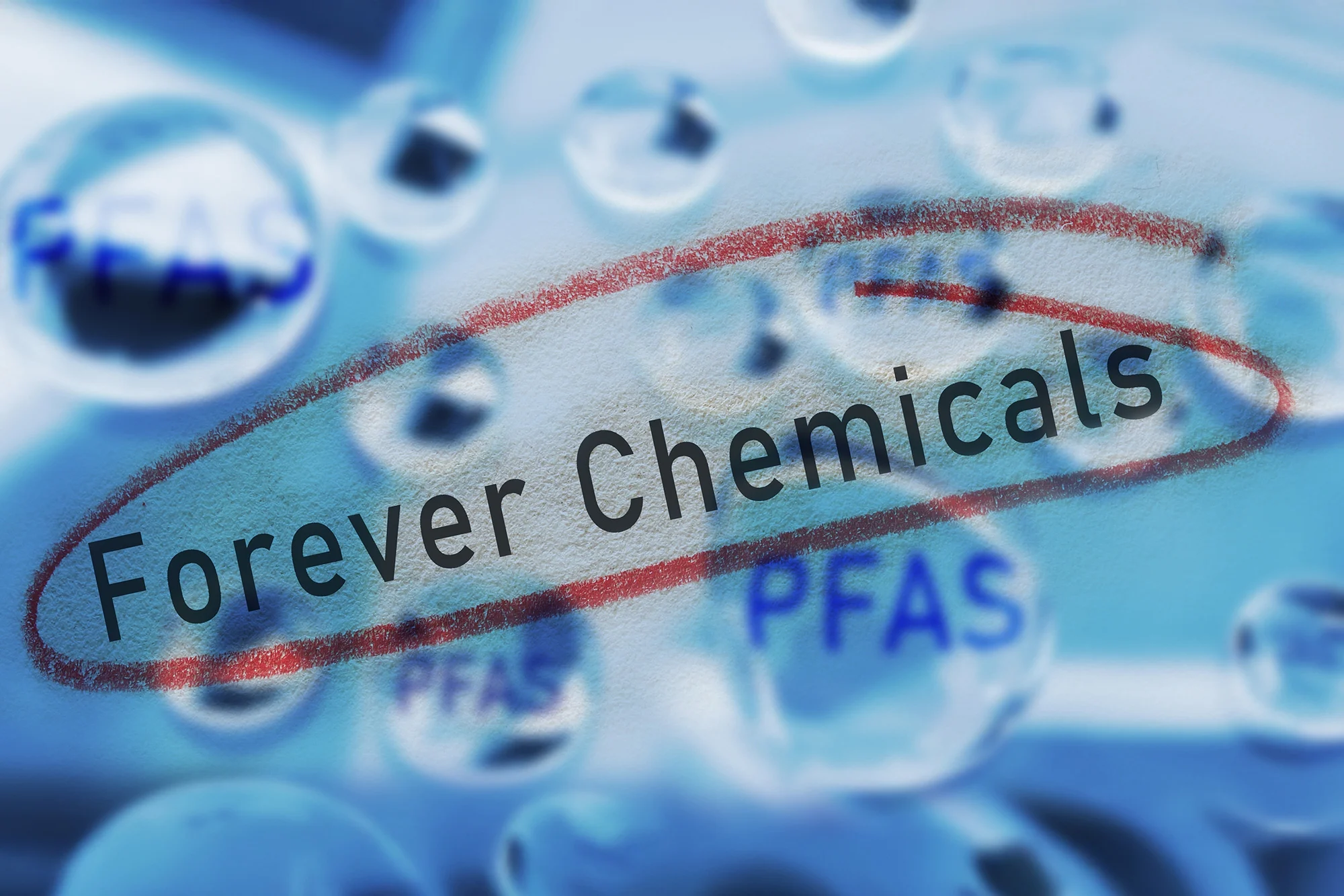 Common Chemicals May Compromise Early Pregnancy, Study Warns