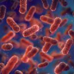 Scientists Uncover Natural Protein That Eliminates Harmful Bacteria