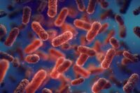 Scientists Uncover Natural Protein That Eliminates Harmful Bacteria