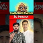 FMT Unpacked: Restoring Gut Health with a ‘Poop Capsule’