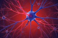 A Hidden Cellular Defense Could Shield the Brain from Alzheimer’s