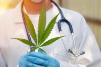 Considering Marijuana After 65? Doctors Highlight Key Health Risks