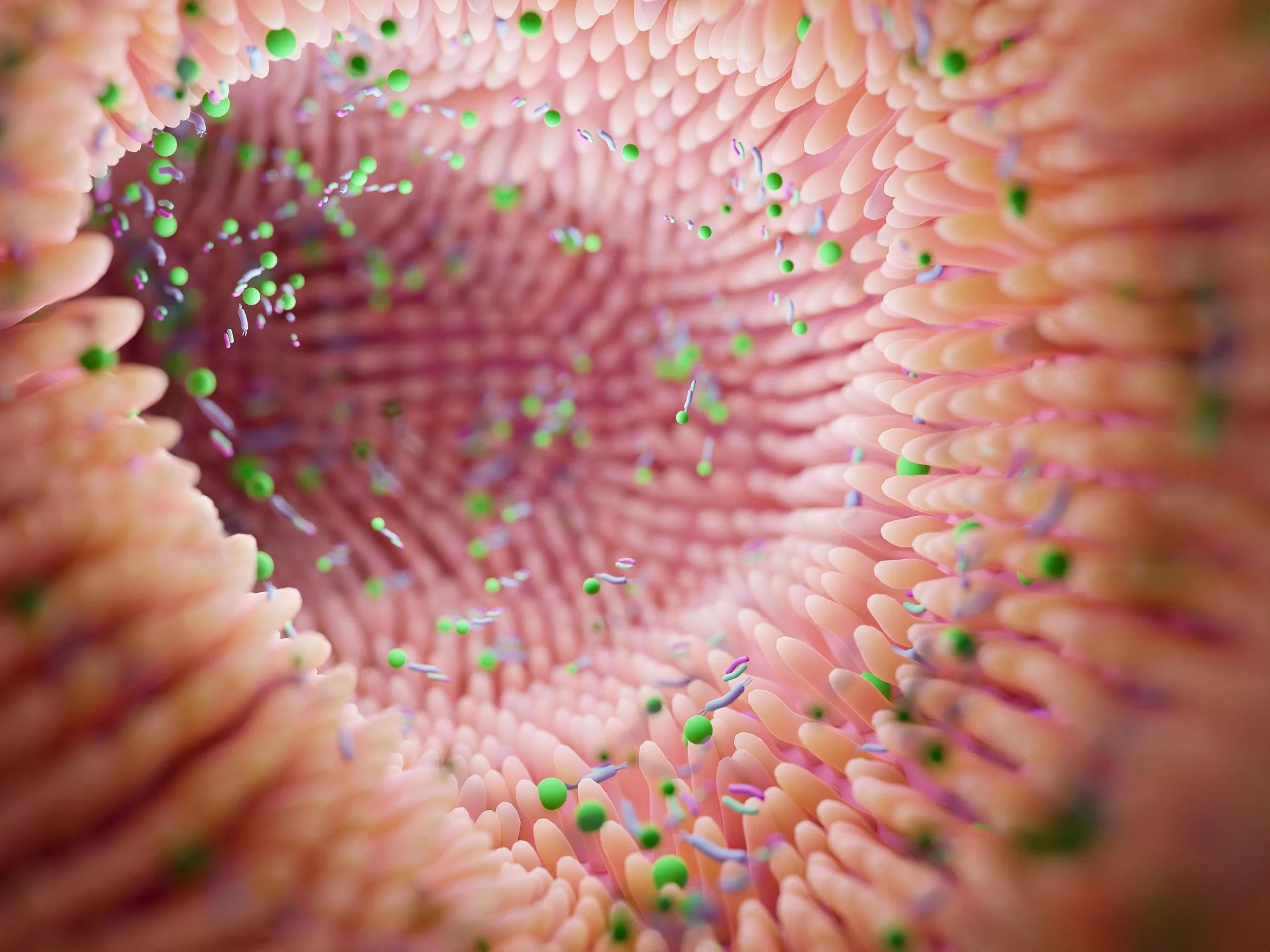 A Curious Gut Microbe Found in Healthy People Globally