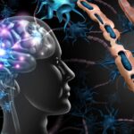 MS May Start Over a Decade Before Symptoms, New Study Reveals