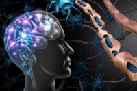 MS May Start Over a Decade Before Symptoms, New Study Reveals