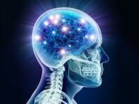 Key Protein Identified That May Reverse Brain Aging