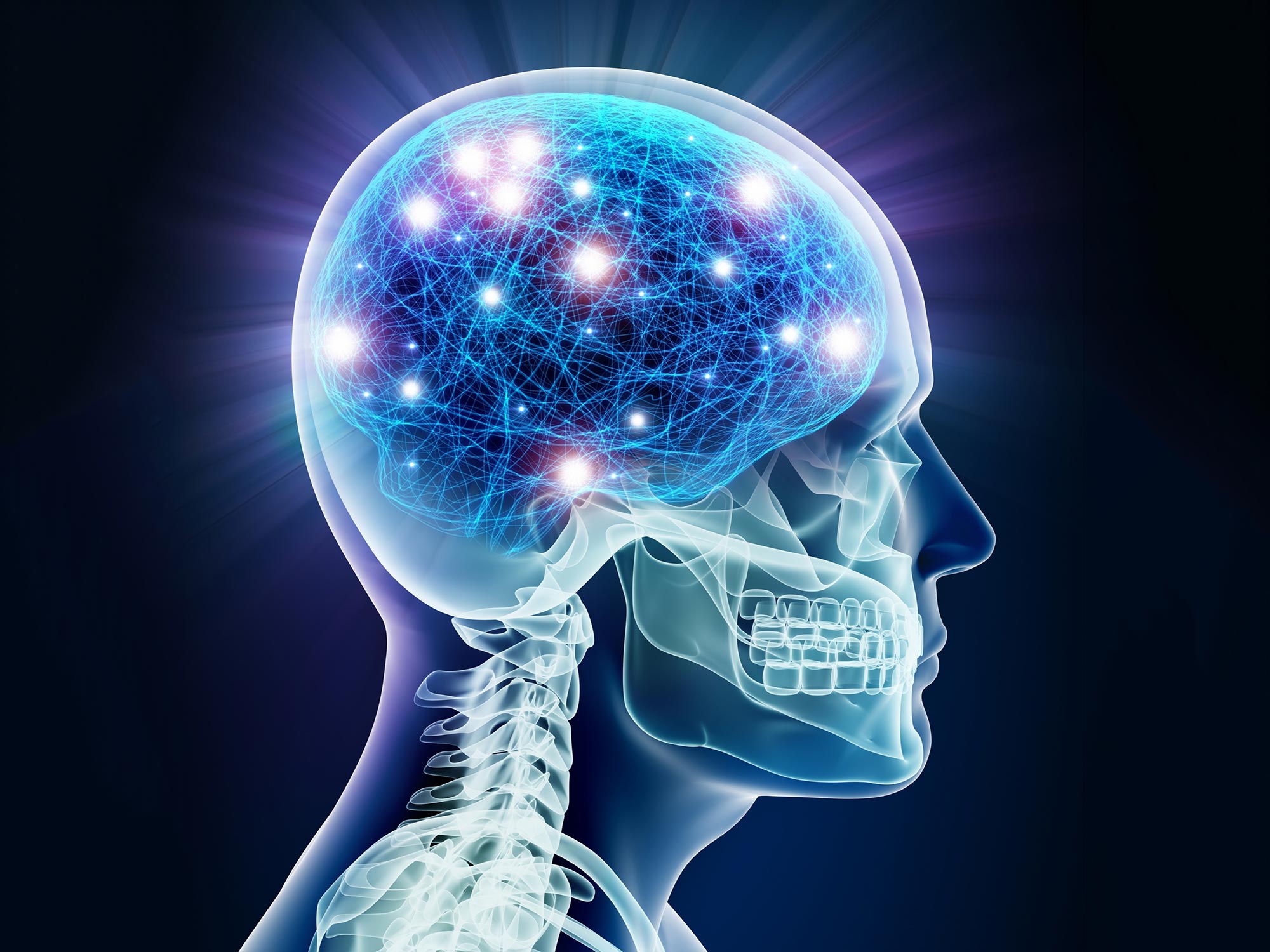 Key Protein Identified That May Reverse Brain Aging