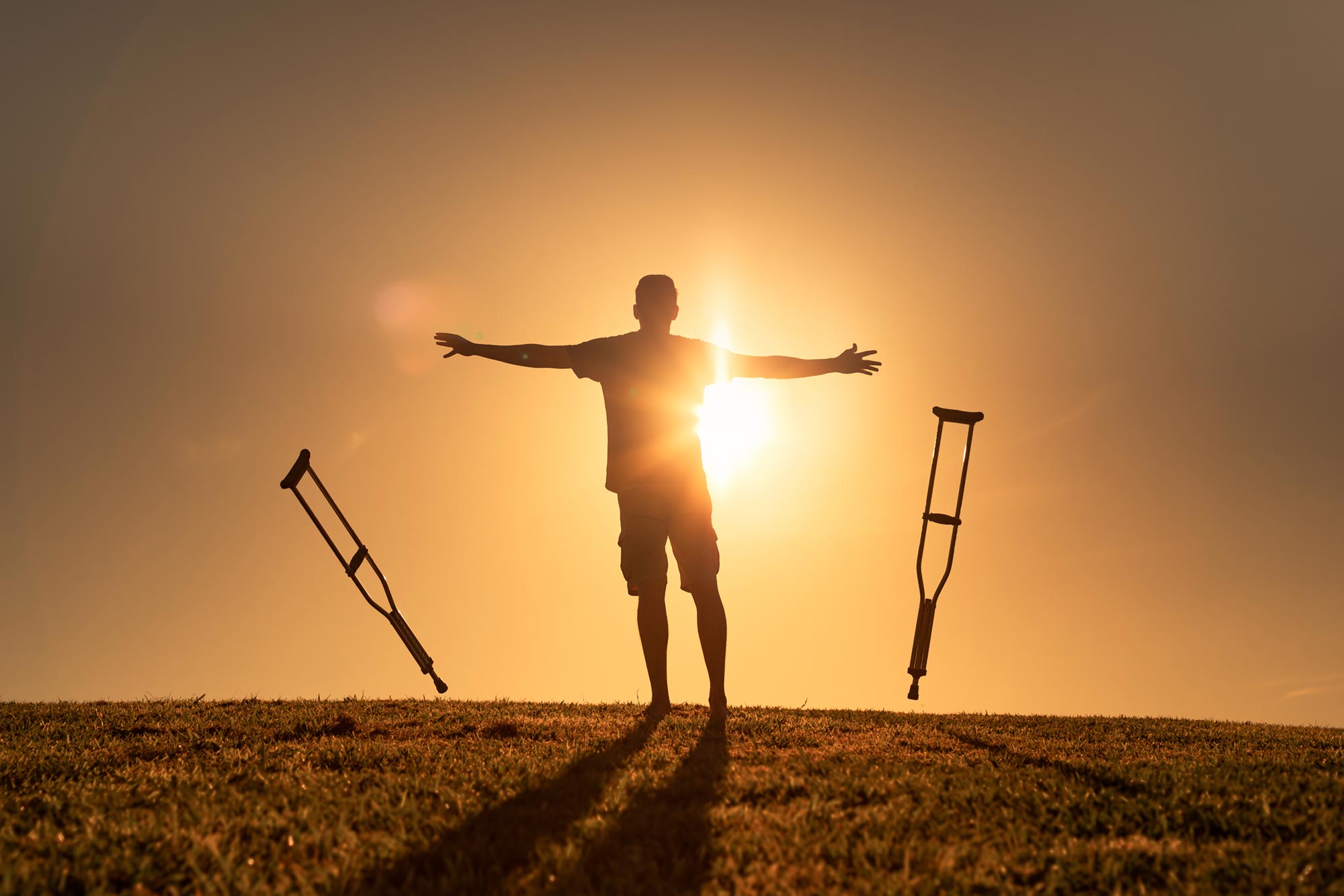 Mini Spinal Cord Exhibits Remarkable Recovery After Injury