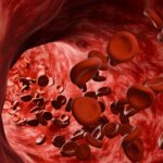 Ultramarathons: Accelerating Blood Cell Aging More Than Expected