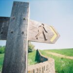 Reviving Failed Resolutions: Making the Most of Determination Day