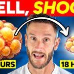 Stopping Autophagy: Key Insights for Better Health