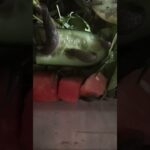 Learn About Microbiomes in Terrariums: Subscribe for More!