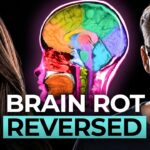 Your Brain’s 0.5% Plastic: Here’s How To Clean It Out