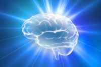 Scientists Discover Exercise’s Hidden Brain-Boosting Benefits