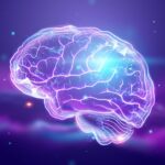 Overlooked Brain Region May Unlock Strength in Aging