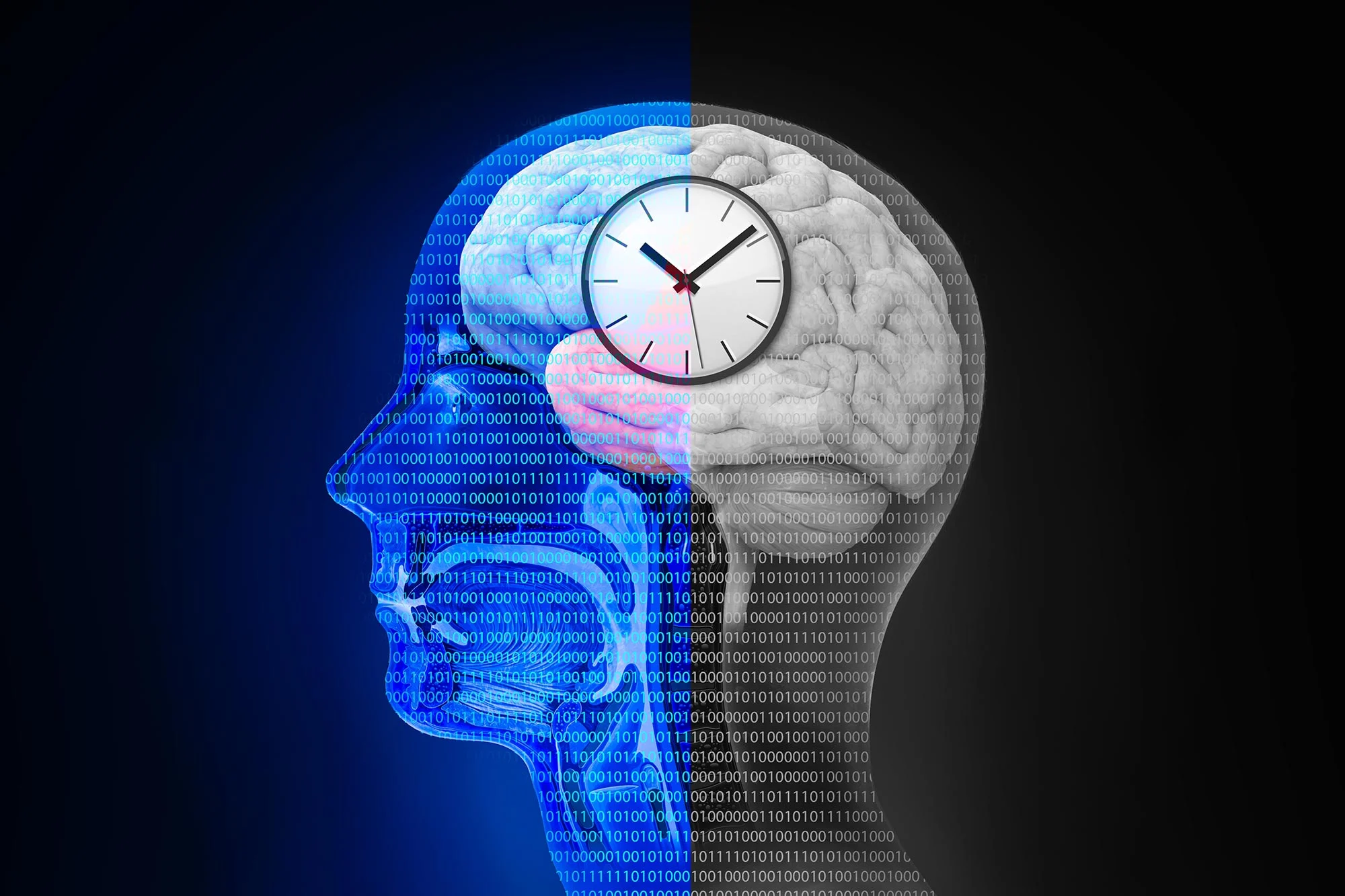 AI Tool Assesses If Your Brain Is Aging Too Quickly